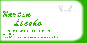 martin licsko business card