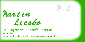martin licsko business card